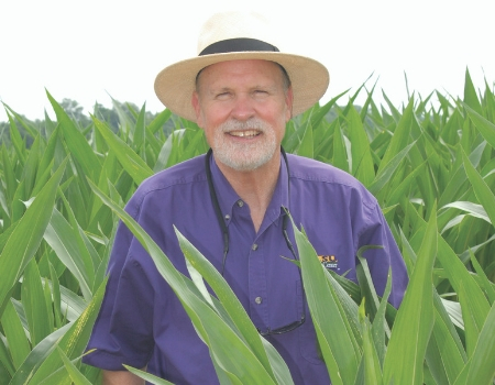 Corn, soybean studies search for  improved yields